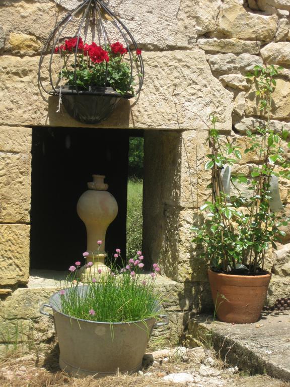 Domaine La Rose Bed & Breakfast Caylus Exterior photo