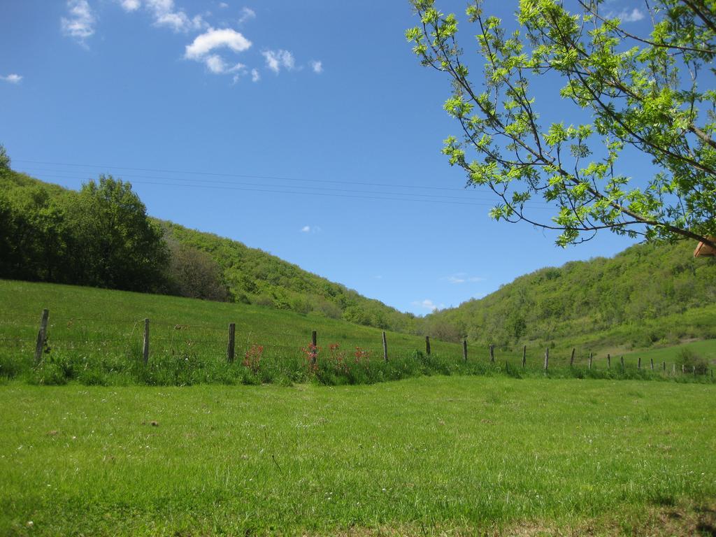 Domaine La Rose Bed & Breakfast Caylus Exterior photo